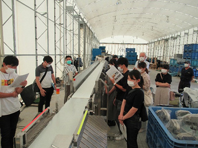 女川漁港の水産物非破壊放射能セシウム検査 イメージ