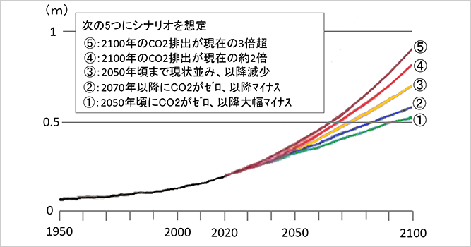 サムネイル：海面水位の変化（1900年基準）